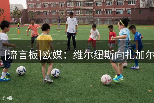 [流言板]欧媒：维尔纽斯向扎加尔斯提供年薪20万欧，浙江提供100万欧